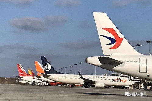 搶運(yùn)物資外運(yùn)產(chǎn)品 煙臺機(jī)場航空物流逆風(fēng)上揚(yáng)