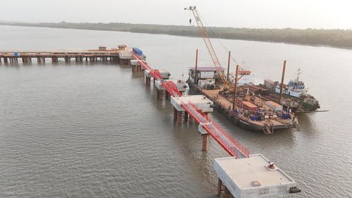 一季度利潤(rùn)逼近2024年全年,河南國(guó)際集團(tuán)發(fā)展解碼